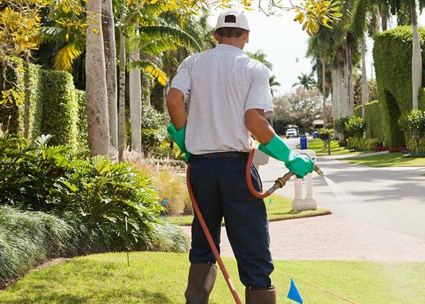 About Orlinda TN Pest Control Pros